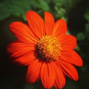 Meet your Posher, Jeff